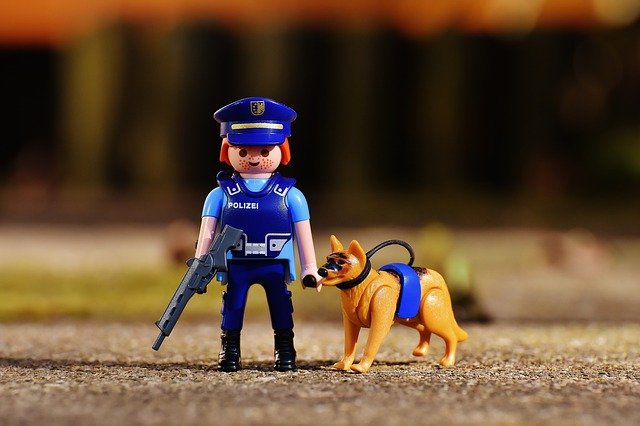 Curso De Adestramento De Cães Policiais – Como é? Qual a diferença?