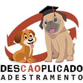 curso-de-adestramento-de-cães-rj