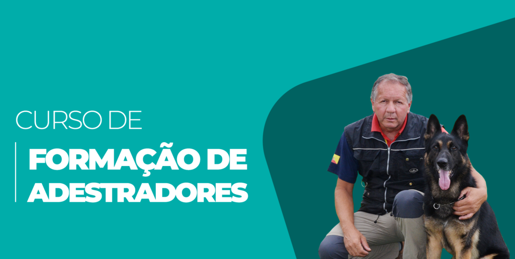 curso-de-adestramento-de-cães-rj